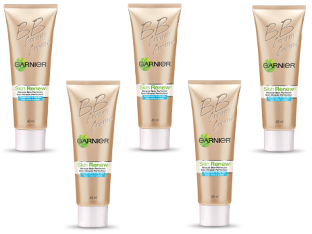 garnier skin renew miracle skin perfector bb cream combination oily skin