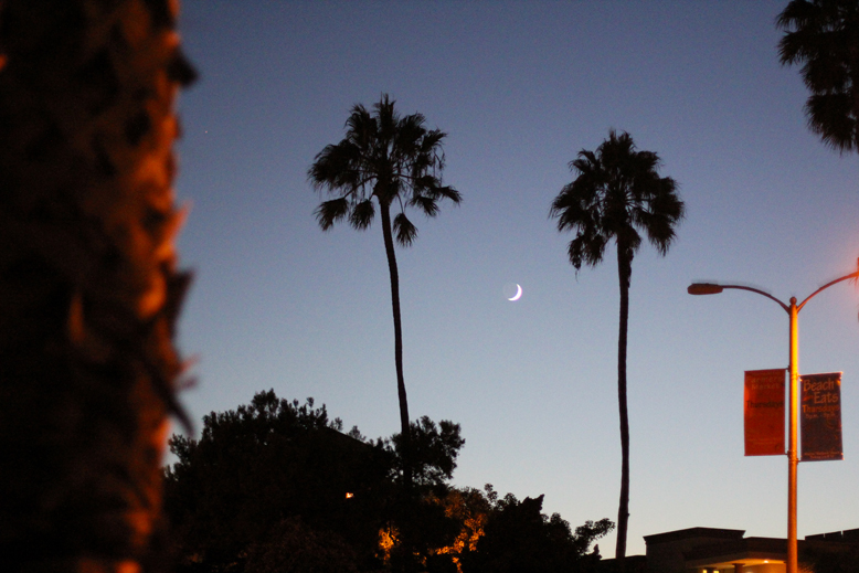 Rossana Vanoni Marina del Rey Sunset