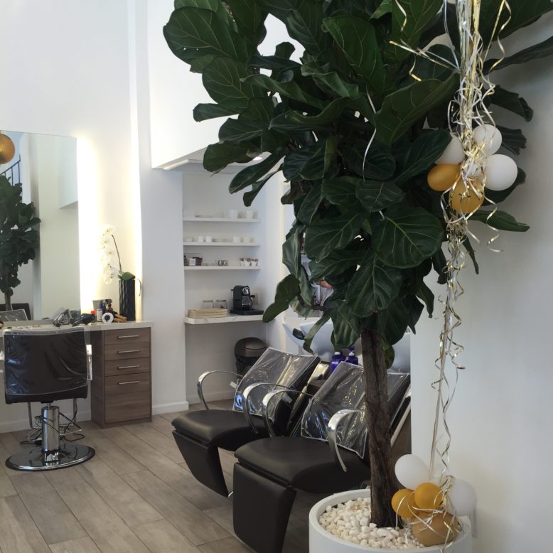 SalonKazumi_BeverlyHills_RossanaVanoni