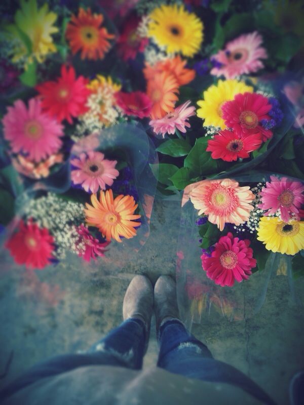 This is the flower situation today!  6.10.14 xoRV