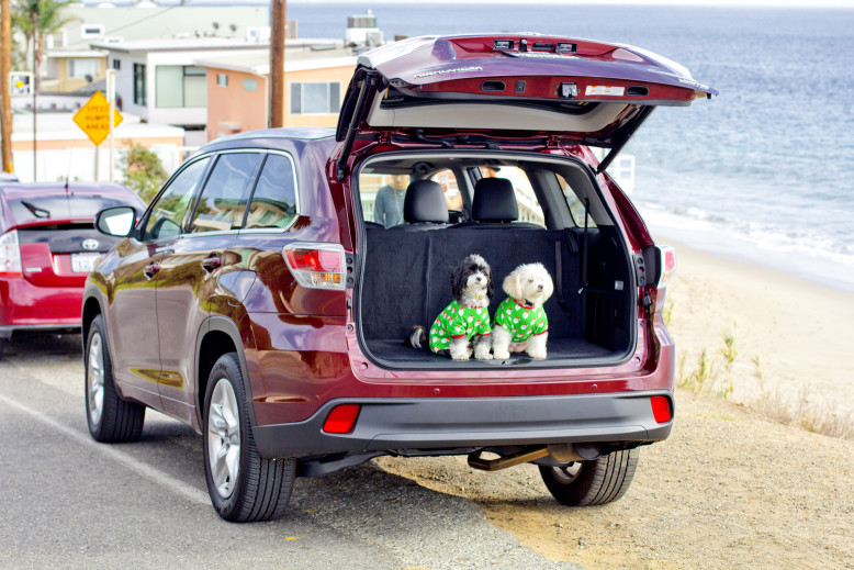 Malibu Beach, CA with the dogs and the Toyota Highlander